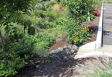 Stormwater Qualtiy Project, Oregon